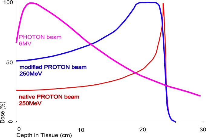 The dose produced by a native and by a modified proton beam in passing through tissue, compared to the absorption of a photon or x-ray beam
