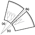 Radial scattering