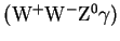 $ ({\rm W}^{+}{\rm W}^{-}{\rm Z}^{0}\gamma)$