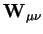 $\displaystyle {\bf W}_{\mu\nu}$