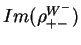 $\displaystyle Im(\rho^{W^{-}}_{+-})$