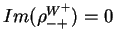 $\displaystyle Im(\rho^{W^{+}}_{-+}) = 0$