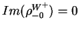 $\displaystyle Im(\rho^{W^{+}}_{-0}) = 0$