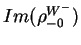 $\displaystyle Im(\rho^{W^{-}}_{-0})$