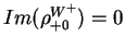 $\displaystyle Im(\rho^{W^{+}}_{+0}) = 0$