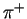 $ \pi ^{+}$