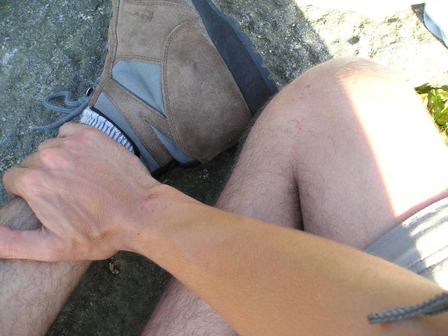 Gritrash