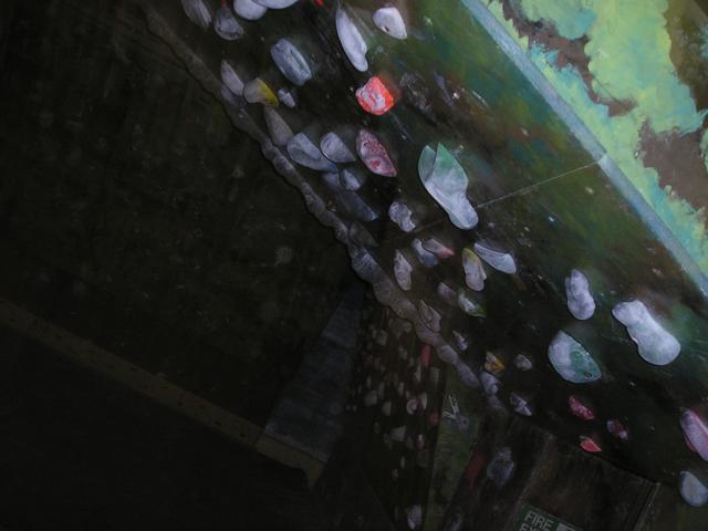 p1010060.jpeg