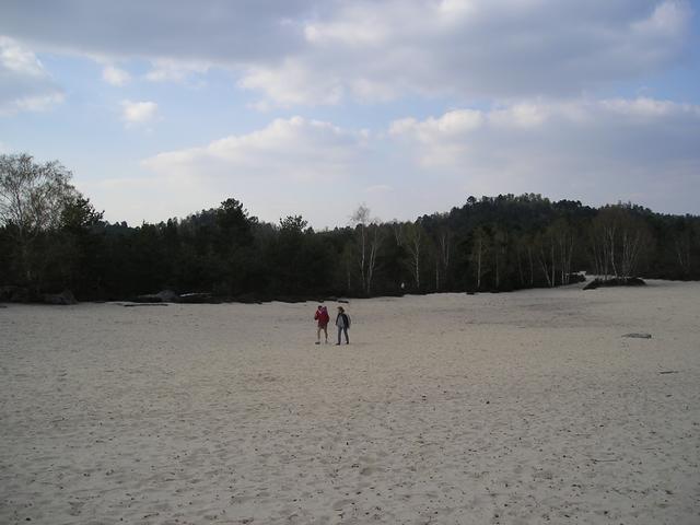 Pictures