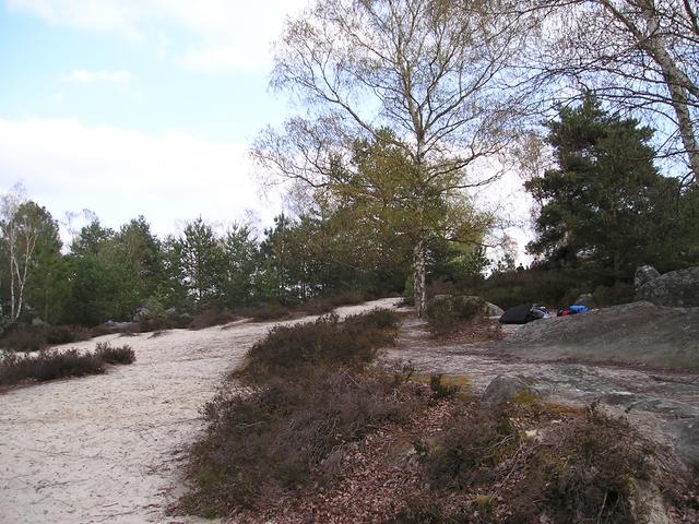 Panorama