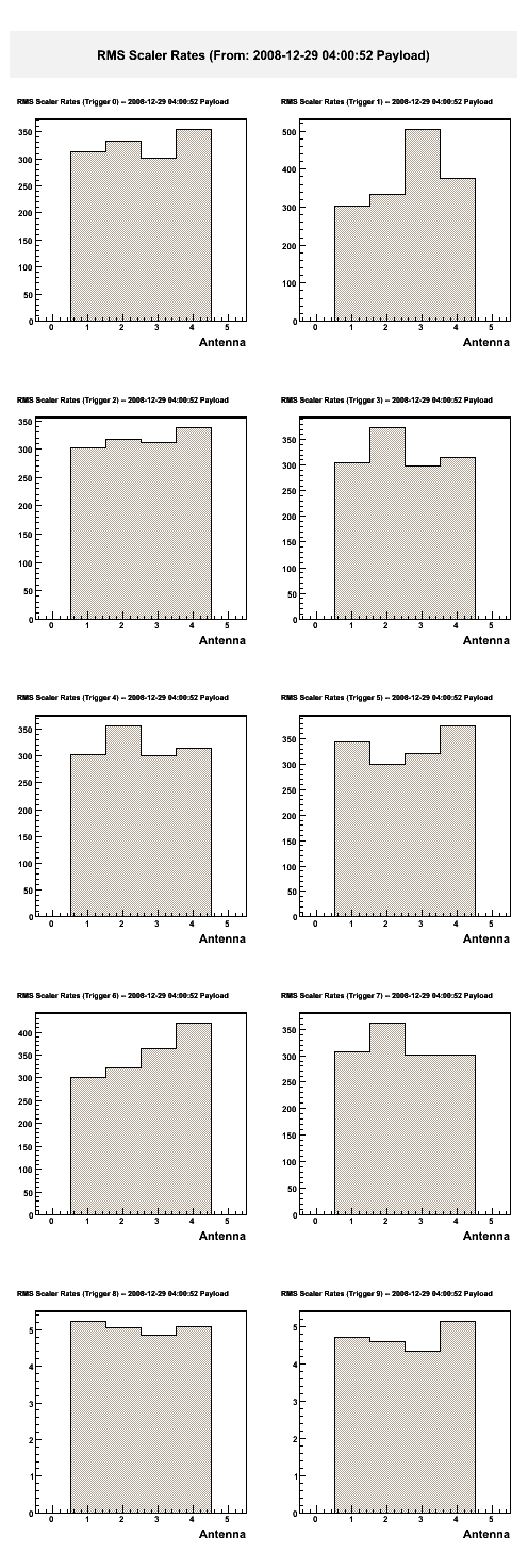 Resized JPEG graphic